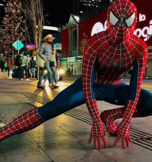 Disfraz Spiderman Tobey
